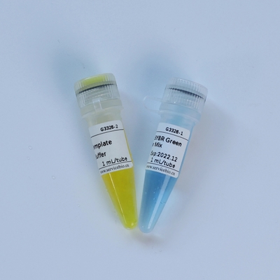 Universal TaqMan Multiplex QPCR Master Mix Biochemical Reagent