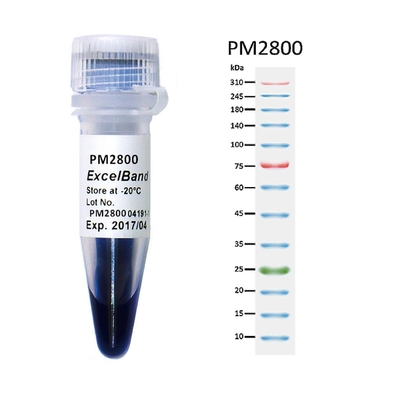 11 Bands 9-180KDA Blue High Range Protein Marker 2x250ul 3 Color 25-300kDa