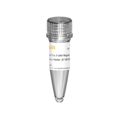 III 12-190KDa Prestained Protein Marker Ladder For Gel Electrophoresis