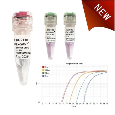 Biochemical Reagent No Rox QPCR Mix 1000 X 20ul Reactions Accuris QMax Green