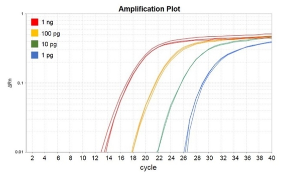 Biochemical Reagent No Rox QPCR Mix 1000 X 20ul Reactions Accuris QMax Green