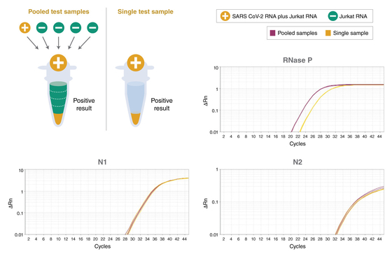 Universal TaqMan Multiplex QPCR Master Mix Biochemical Reagent