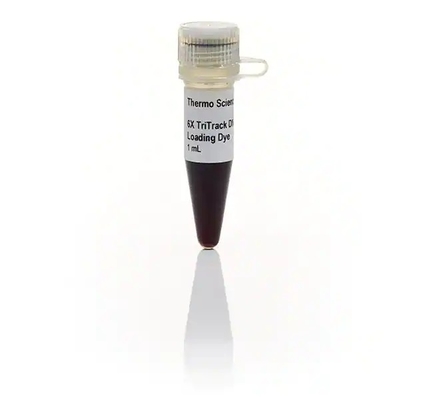 GeneRuler Ready To Use 1kb Plus DNA Ladder Biochemical Reagent