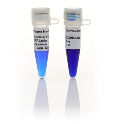 GeneRuler Ready To Use 1kb Plus DNA Ladder Biochemical Reagent