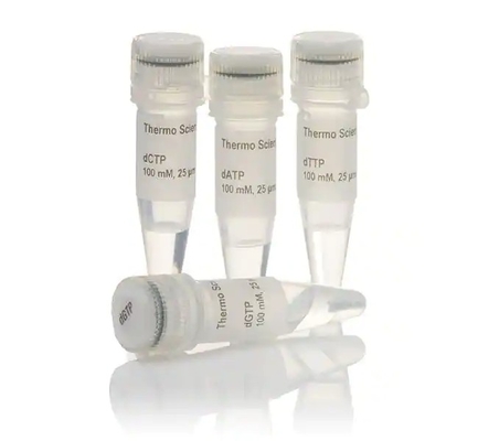 25mmol/L 99% Purity DNTP Mix 25mM Each For Research Use ONLY