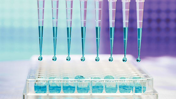 10UL 100UL Rnase Free Sterile Pipette Tips Micro Universal For Laboratory